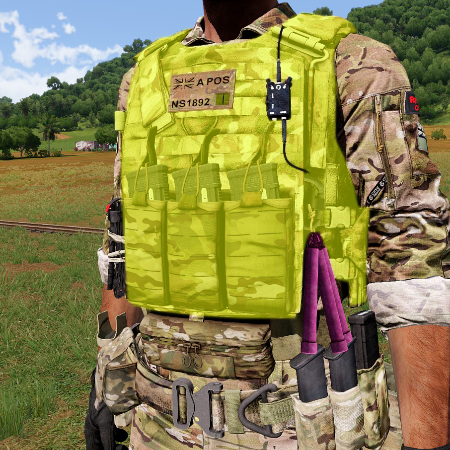 Custom Plate Carrier