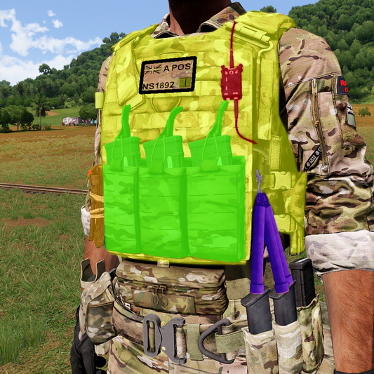 Custom Plate Carrier